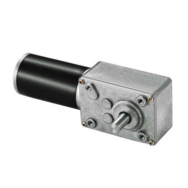 Faradyi Custom Long Life Drip-proof 12v 24v High Torque Micro Dc Worm Gear Motor For Door Lock