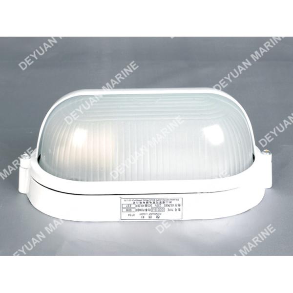 CCD Series Marine Electric Equipment Incandescent Pendant Light