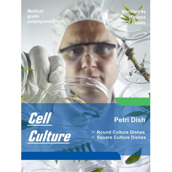 Пластиковая чашка Петри блюда культуры ткани Integrid квадрата полистироля с решеткой