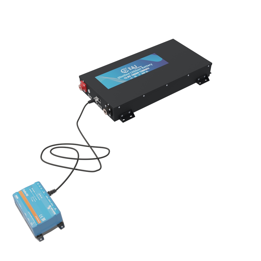 Ultra Slim 12V 100Ah Lithium Ion Battery Pack Long Lasting With High Energy Density