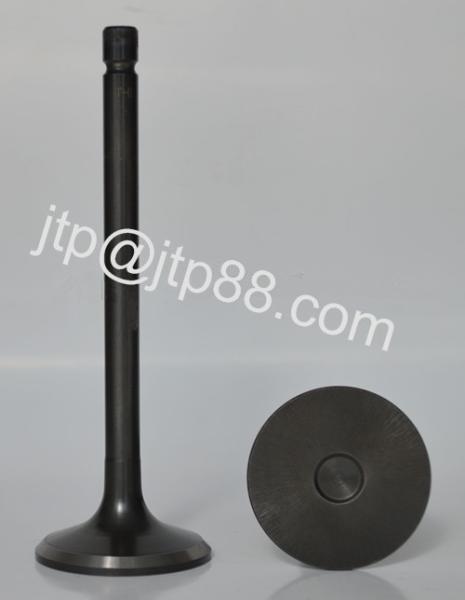 Nissan Gasoline - Engined Subcompact Car MR20 Intake Valve 13202-EA200 / 13201-EN20A