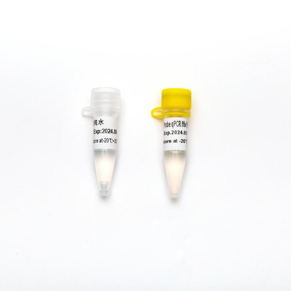 P2801-5 リアルタイム PCR Mix Concentrated Premix Direct Multiplex Probe QPCR Mix Plus U P2802 5ml 試料の種類について