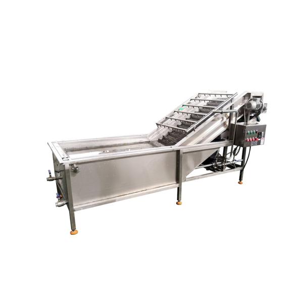 SUS304 Automatic Fruit Processing Equipment Blueberry Washing Machine