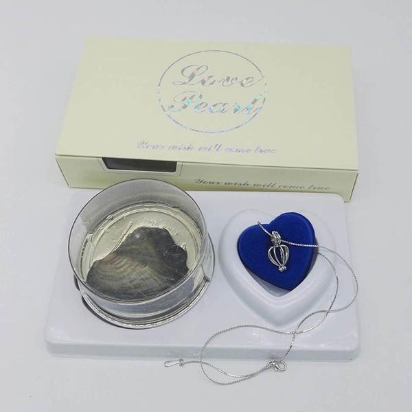Custom Color Box  Love Pearl Necklace Gift Box With Fashion Cage Pendant for Birthday or Holiday Gift