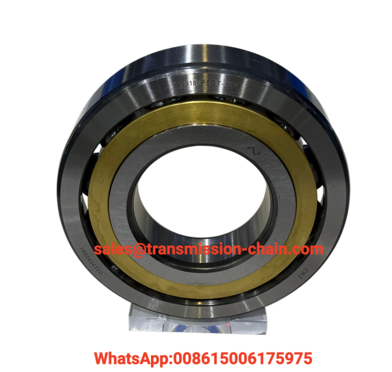 Chrome Steel Material Factory Made Hot Sale 6332DM C4HS2 Industrial Motor Spindle Bearings 160x340x68mm