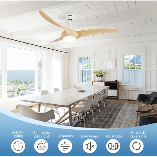 Logotipo OEM 1stshine 54 