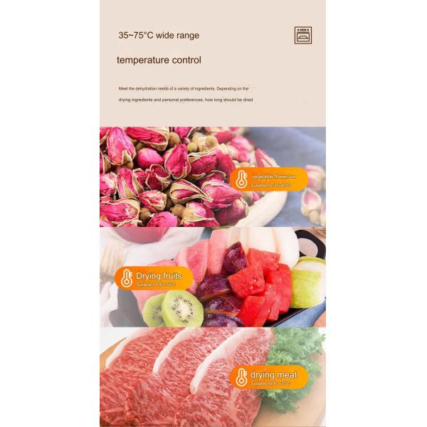 30L SUS 304 Multifunctional Three-dimensional Vacuum Dryer for Fruit and Vegetable