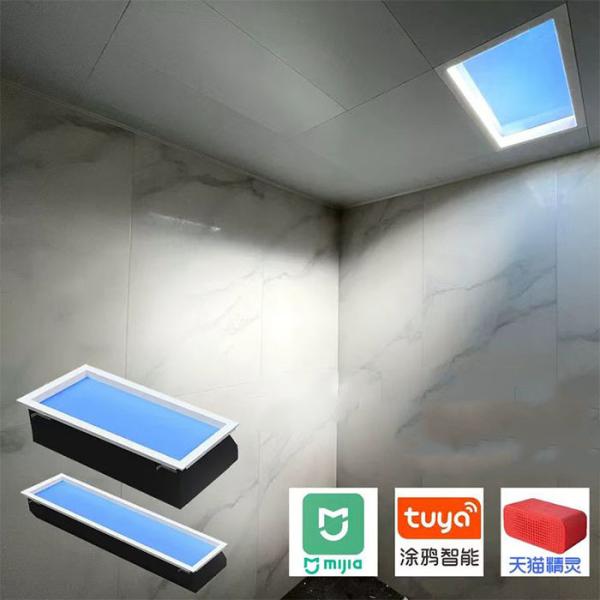 Surface Mounted LED Artificial Skylight For Homes Offices Commercial Outdoor Lighting In White