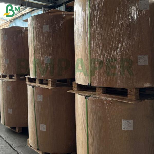 230g White Freeze Moisture Resistant Food Freezing Card For Frozen shrimp Packaging