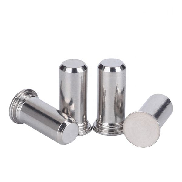 Passivated Finish Self Clinching Pilot Pins Stainless Steel Type TPS Flush Mounted