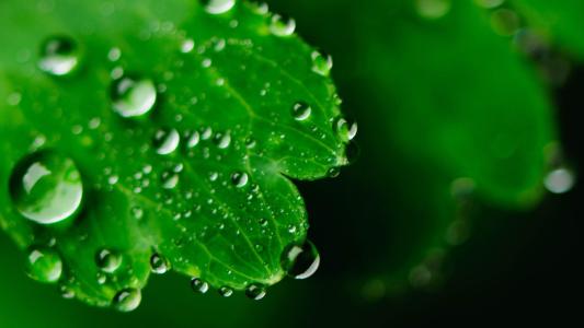 Штапельное волокно Лйоселл для очищать/индустрия материала табака/упаковки