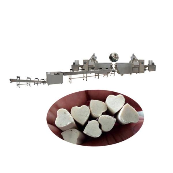 Extrudeuse de friandises pour chiens de soins dentaires 380V / Transformation de collations pour animaux de compagnie de chewing-gum pour chiens