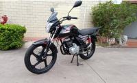 La moto de sport de rue de CG. 125/150/200cc a mené la moitié légère de multimètre numérique Ally Wheel