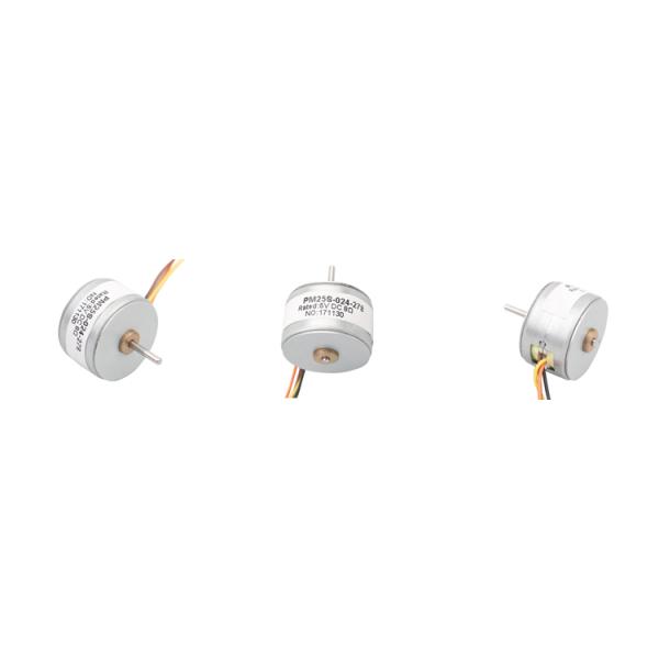 Мотор постоянного магнита stepper мотора промышленный 25mm Китая шагая 2 мотор 25S-024 провода после полудня участка 4 Stepper