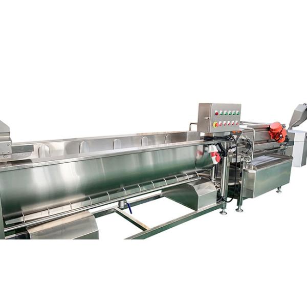 SUS304 Radish Commercial Vegetable Washing Machine To Wash Vegetables