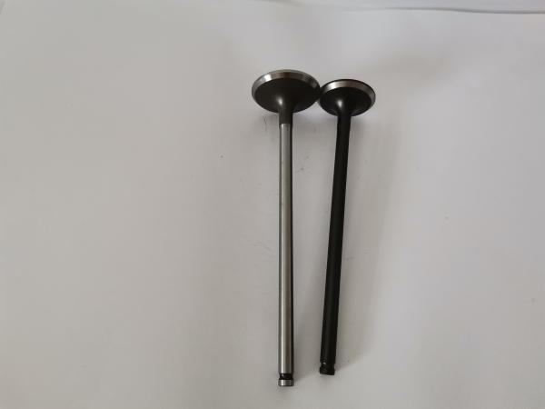 3855EBN Automotive Engine Exhaust Valves for HONDA CIVIC 1.6L / 1.7 16V