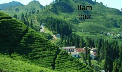 Marvelous Private Sightseeing Tours 5 Day'S  Ilam Tea Garden Trek 3636m Height