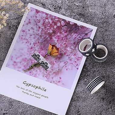 Лента Washi красочного нового лотоса картины бумажная для личной пользы