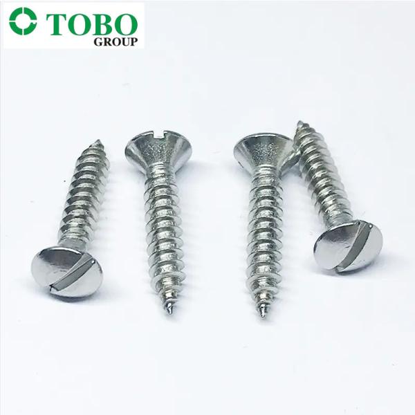 Iso1483 Din7973 Stainless Steel Brass Slotted Oval Head Self Tapping Screw