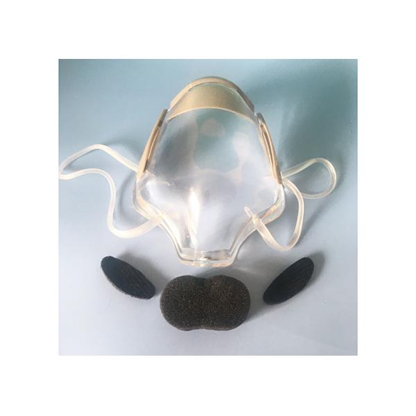 Dust Proof Plastic Clear Mouth Shield Mask Fashion