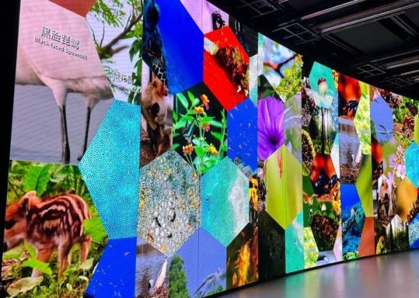 Customized Cabinet Size P6 Fixed Led Advertising Panel for Display Solutions in Any Size