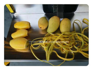 1000 частей/час плодов 0.6KW промышленных применяют обложку к машине шелушения