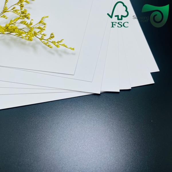 255gsm FSC Single Sided Coated Ivory White Cardboard High Bulk Low Grammage Writing Friendly
