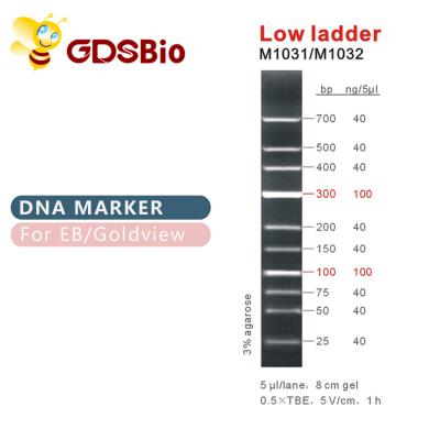 Baixo marcador M1031 do ADN da escada (50μg) /M1032 (50μg×5)
