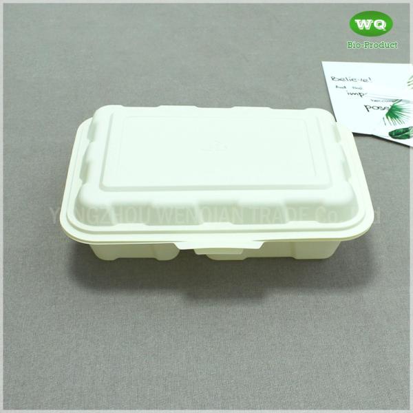 Food Grade Corn Starch PP 9x6 Inch 2 Compartments Lunch  Box,Factory Offer Renewable Resources Disposable Containers