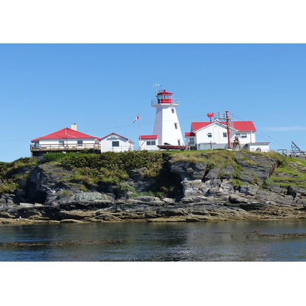 Europe Germany Amazon FBA Sea Freight Door To Door Service