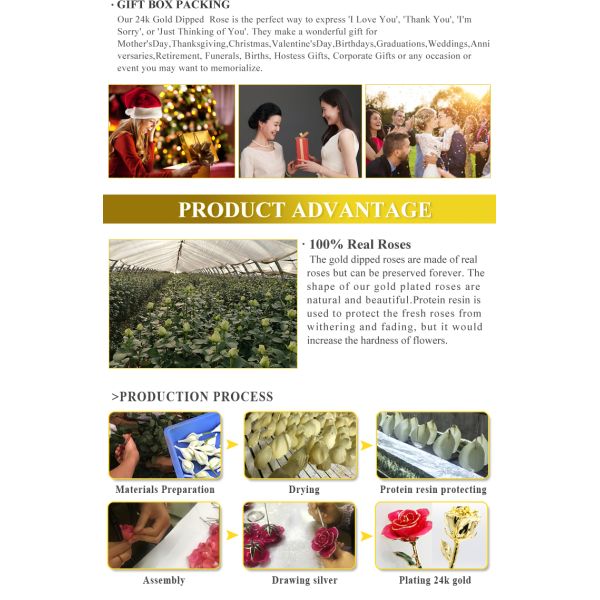 Wholesale High Quality 24K Gold Dipped Real Natural Rose  Artificial Roses for Valentines Day Gifts