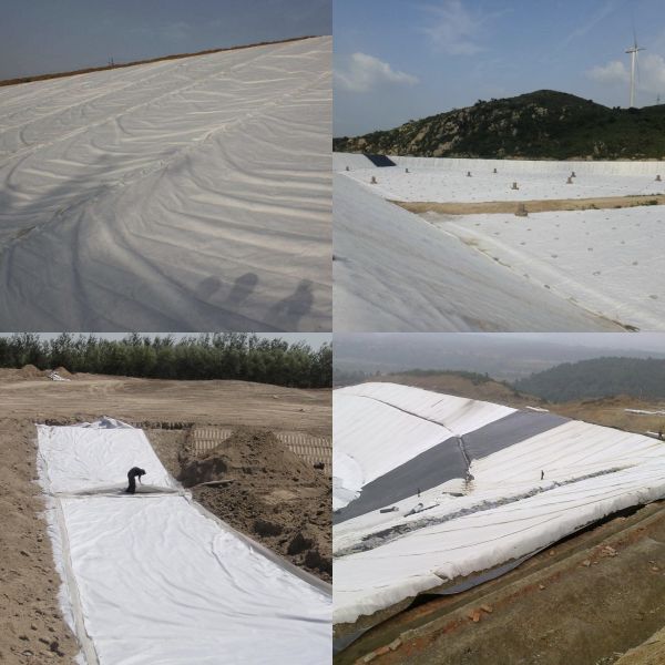 Eco Friendly PP Staple Fiber Non Woven Geotextile For Coastal Erosion Control
