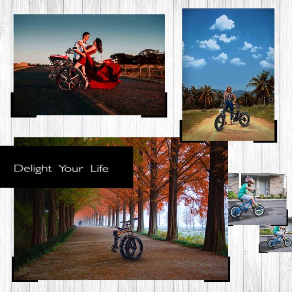 Integrated Wheel 20 Inch PAS Folding E Bike Full Suspension Frame