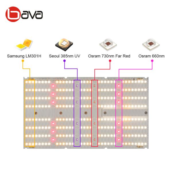 Samsung LM301H  UV IR Bavagreen Grow Light Indoor Horticulture Lighting