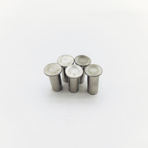 316 Rivets en acier inoxydable M5-M12 Tête plate 40% creux