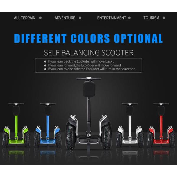 Brushless 4000w Self Balancing Segway Two Wheeled Vehicle Double Samsung Battery