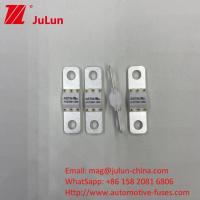 A121601-80A 3KA 6KA 8KA Electrical Power Fuses for Automobile Electric Vehicles