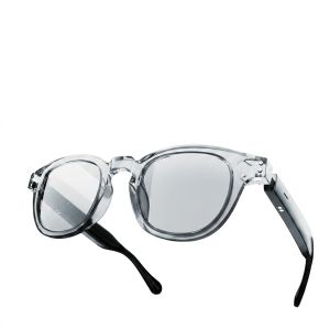 AI smart glasses