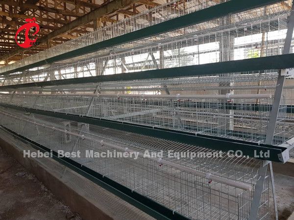 Цена клетки батареи слоев в Нигерии 12 птицы цыпленка 128 недель играет главные роли