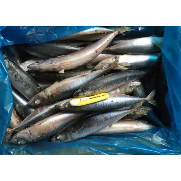 Pacific 100g 140g BQF Fresh Frozen Mackerel For Hotel