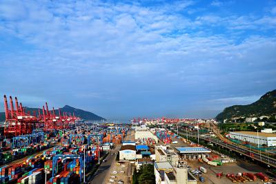 Global Carrier Freight Forwarder Ocean Shipping From China To Middle East