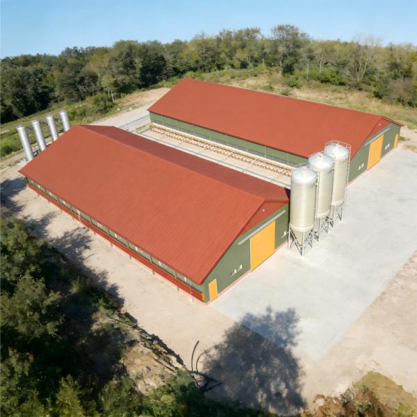 Commercial Broiler and Layer Chicken Farm High-Intensity Corrosion-Resistant Designed Chicken house