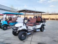 6 passagers Buggy tout-terrain automatique léger Chariot de golf électrique personnalisé