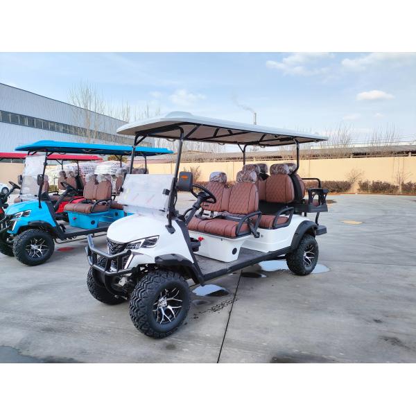 6 Passenger Off-road Buggy Automatic Lightweight Electric Golf Cart Customized