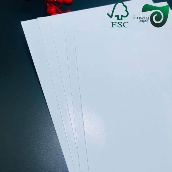 Double Sided White Matte Coated Art Card 250g  300g 25 36 Inches FSC Glossy Art Paper