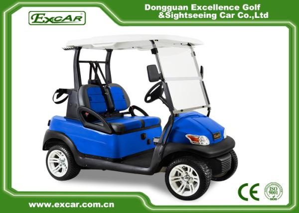 Blue Color Trojan Battery Electric Golf Car Waterproof Mini Type