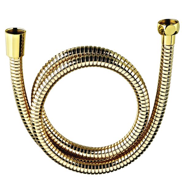 White Coat Painting 1.5M Flexible Double lock Toilet S.S Shower Hose With brass Screw For Iran Turkey Middle East EUR