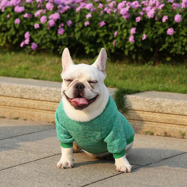 Knitted Puppy Clothes Solid Pattern Polyester Material for Your Four-Legged Companion
