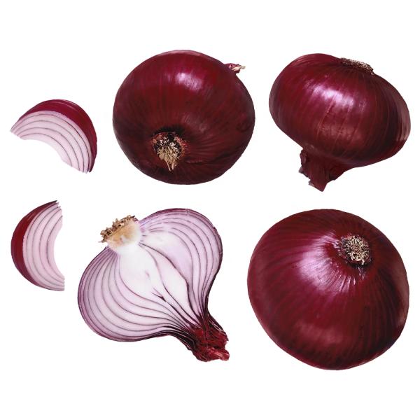 2023 new crop of brand fresh onions red and yellow white onion fresh vegetables in China Chinese onion fresh for sale