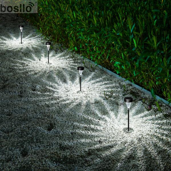 8-Hour Solar Landscape Lights with 5 LM Brightness White Light 6000K